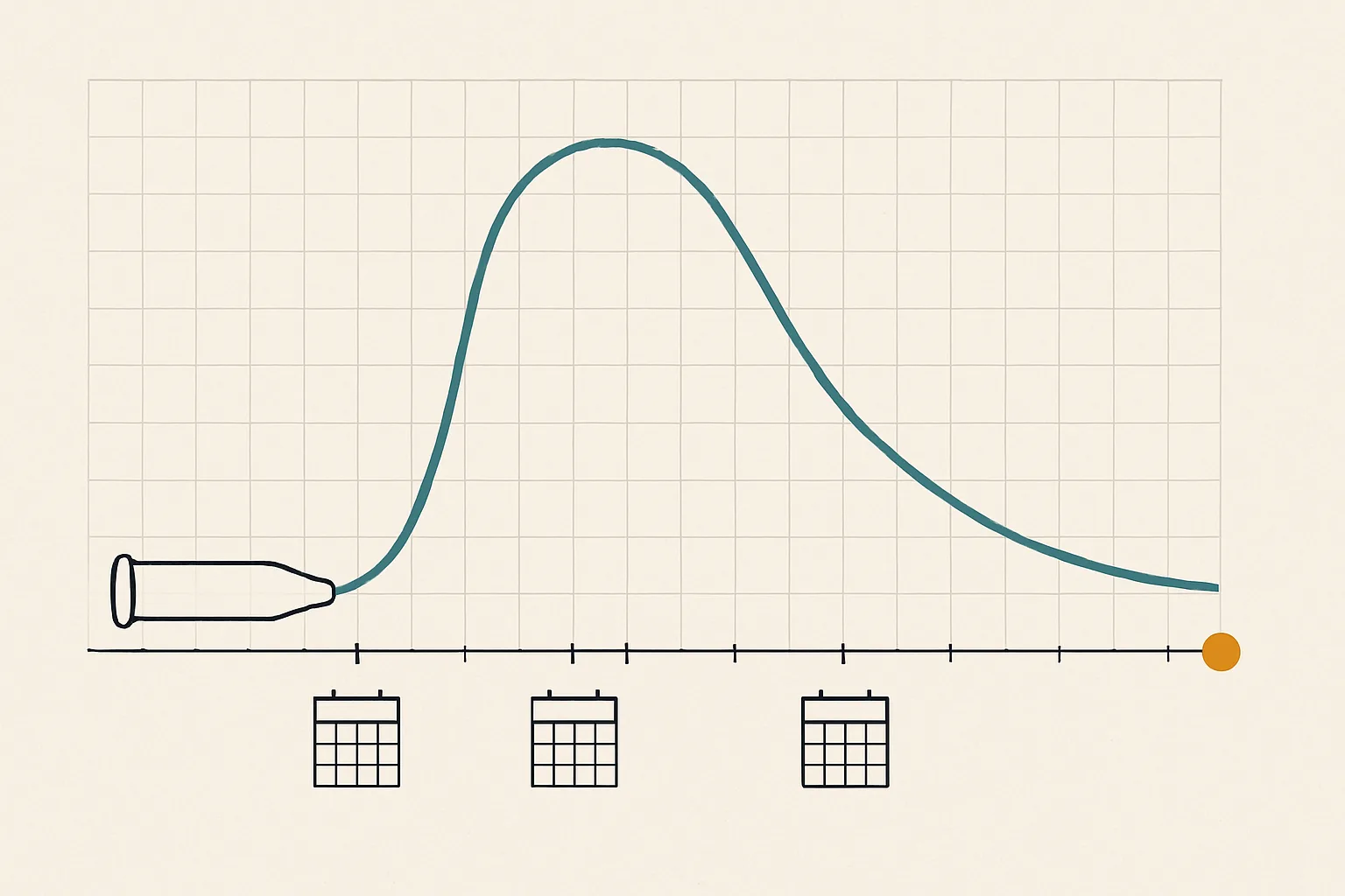 Schematic duotone chart on ruled graph paper: a teal curve rises from a small outlined vial lying at the origin, peaks, then fades back to the baseline, where an amber dot marks the endpoint; blank calendar-page glyphs sit beneath the tick marks. No text, faces, or brand marks appear.